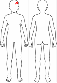 body-diagram